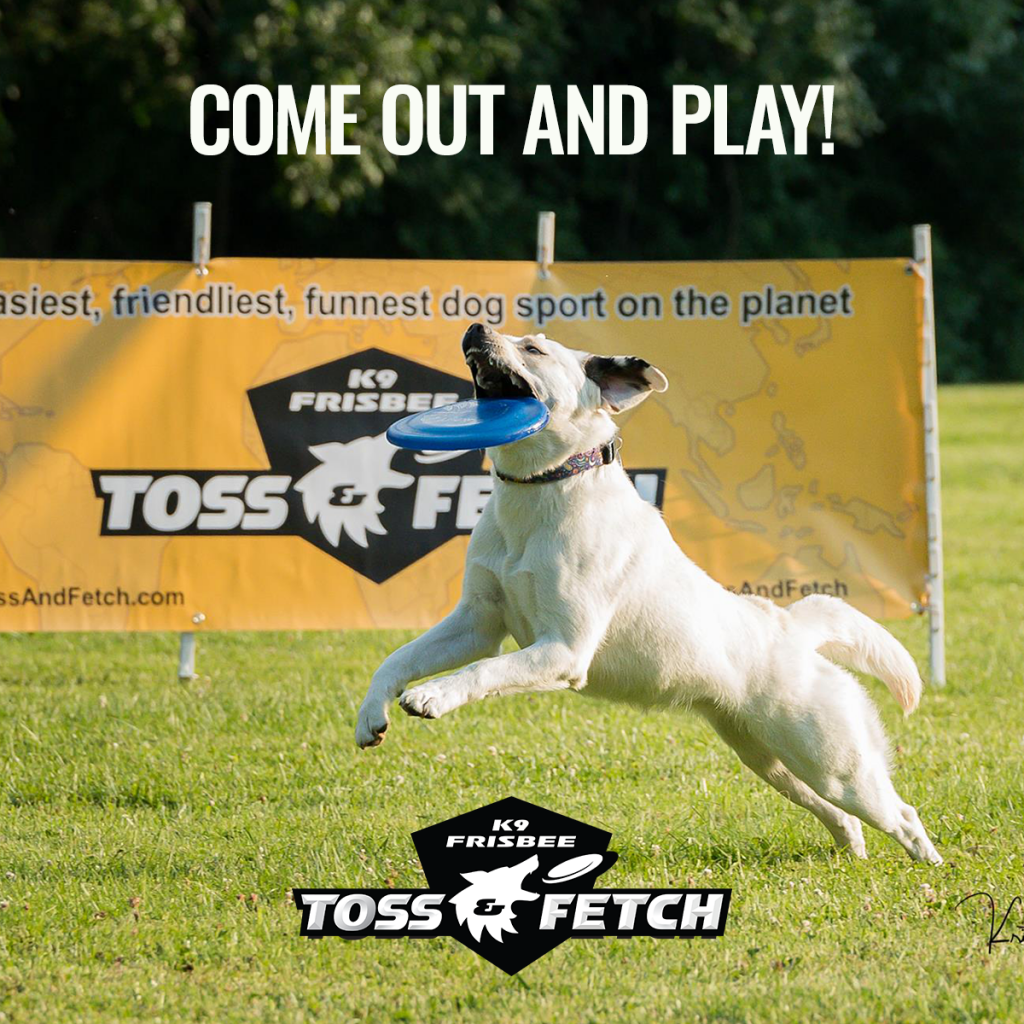 Home K9 Frisbee Toss & Fetch Disc Dog League