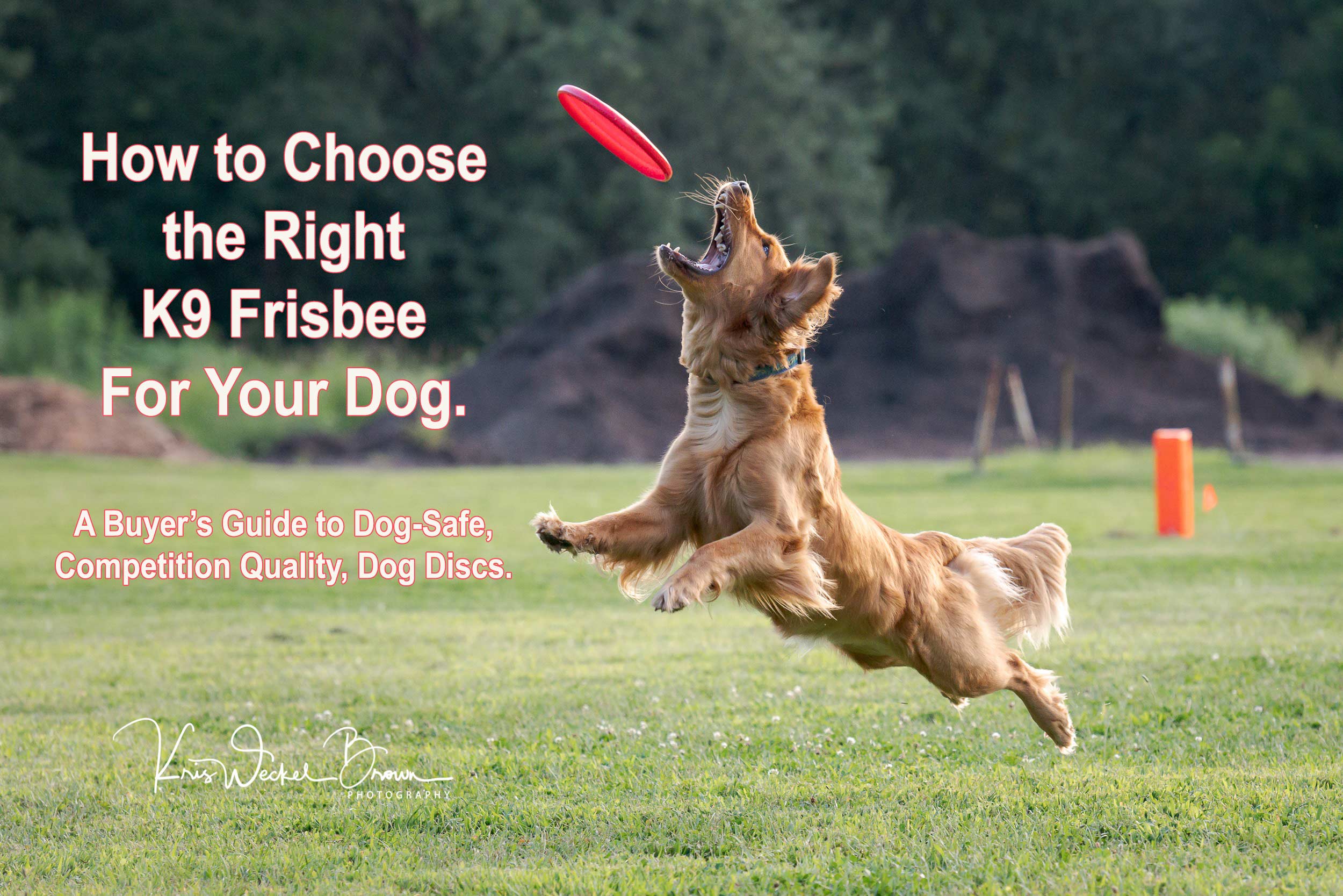 Dog Training thin Frisbee Throwing Flying Disc Fetch Teeth Fun Toy 