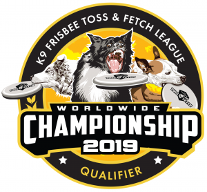 2019 Worldwide Championship Patch
