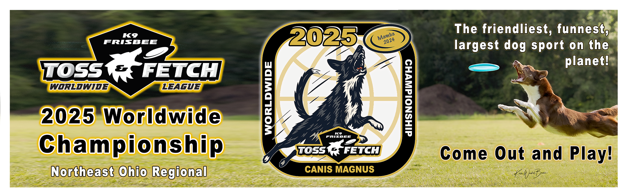 2025 WWC K9 Frisbee Banner w Regional_